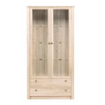 Witryna 2 drzwi FINEZJA F22 frxw-22