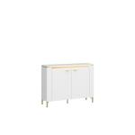 TYP LAZK01 KOMODA 2D