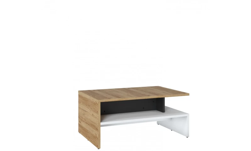 SALINAS TYP MWTT02 STOLIK